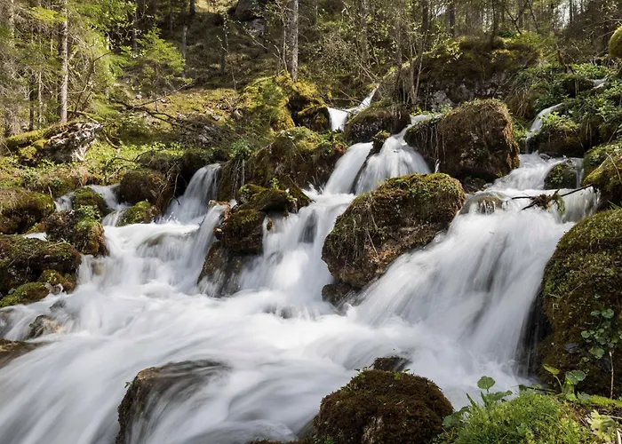 Naturparkresort Salzahalt * 维尔达尔彭